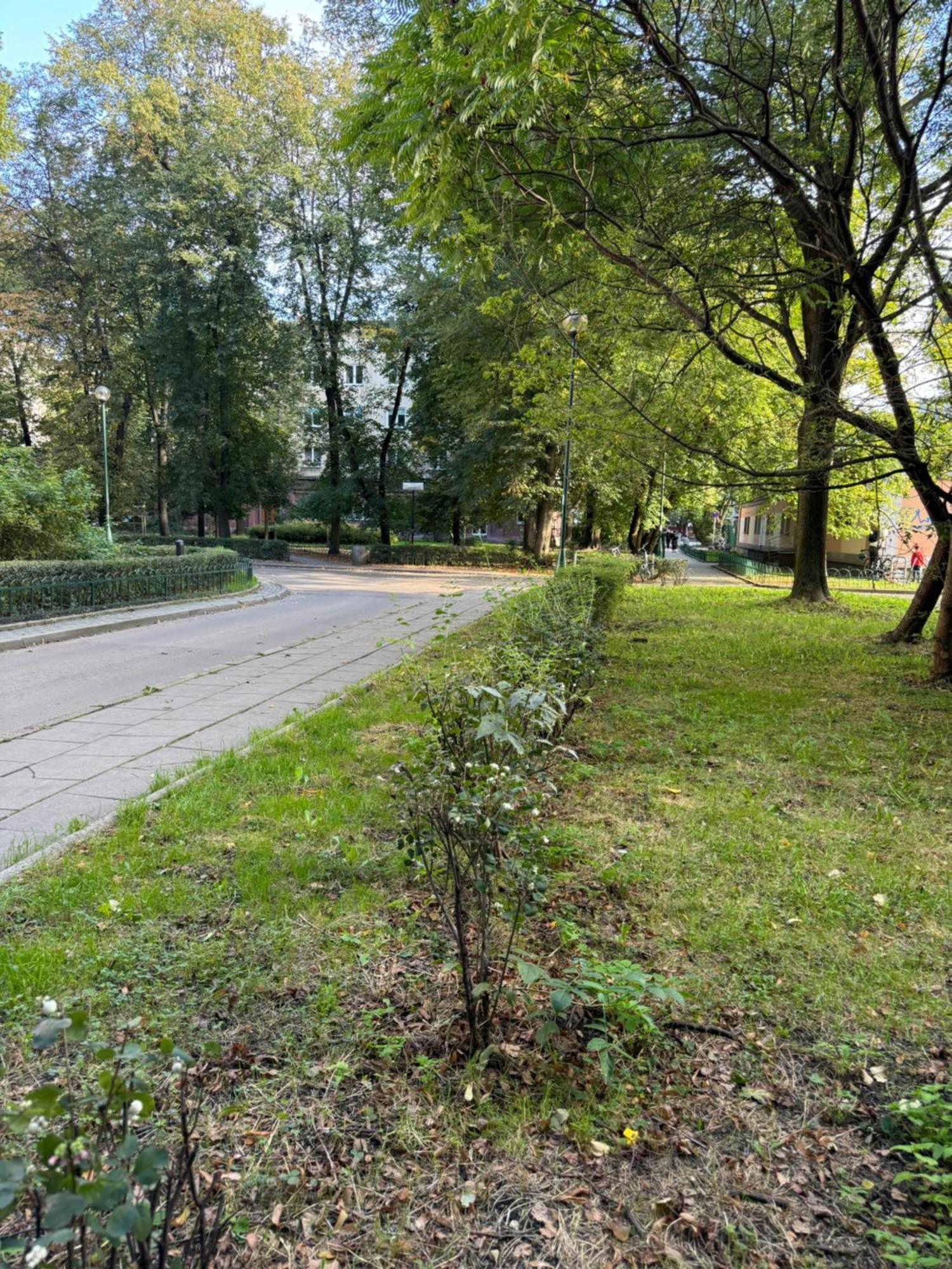 Juli Apart Kraków Zewnętrze zdjęcie